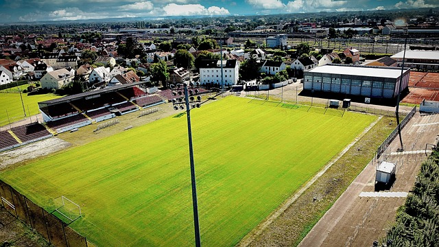 部分青年在 部分青年在