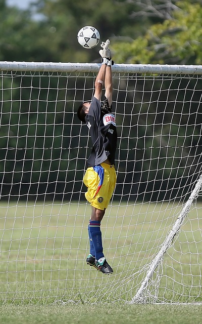 他不仅在进 他不仅在进