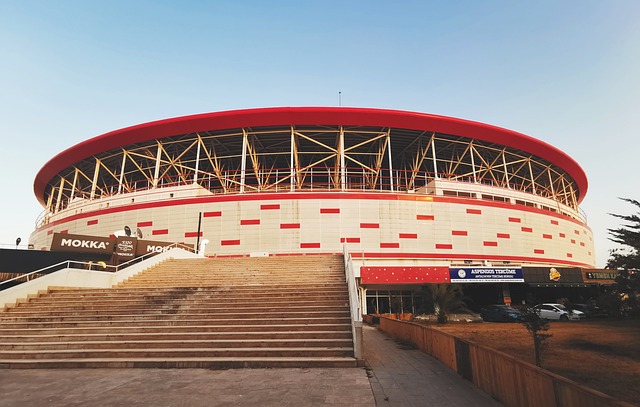 对阵容进行 对阵容进行