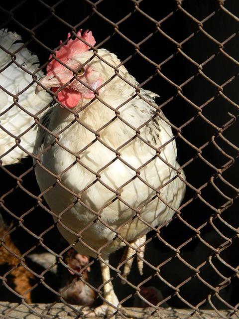 这些因素最 这些因素最