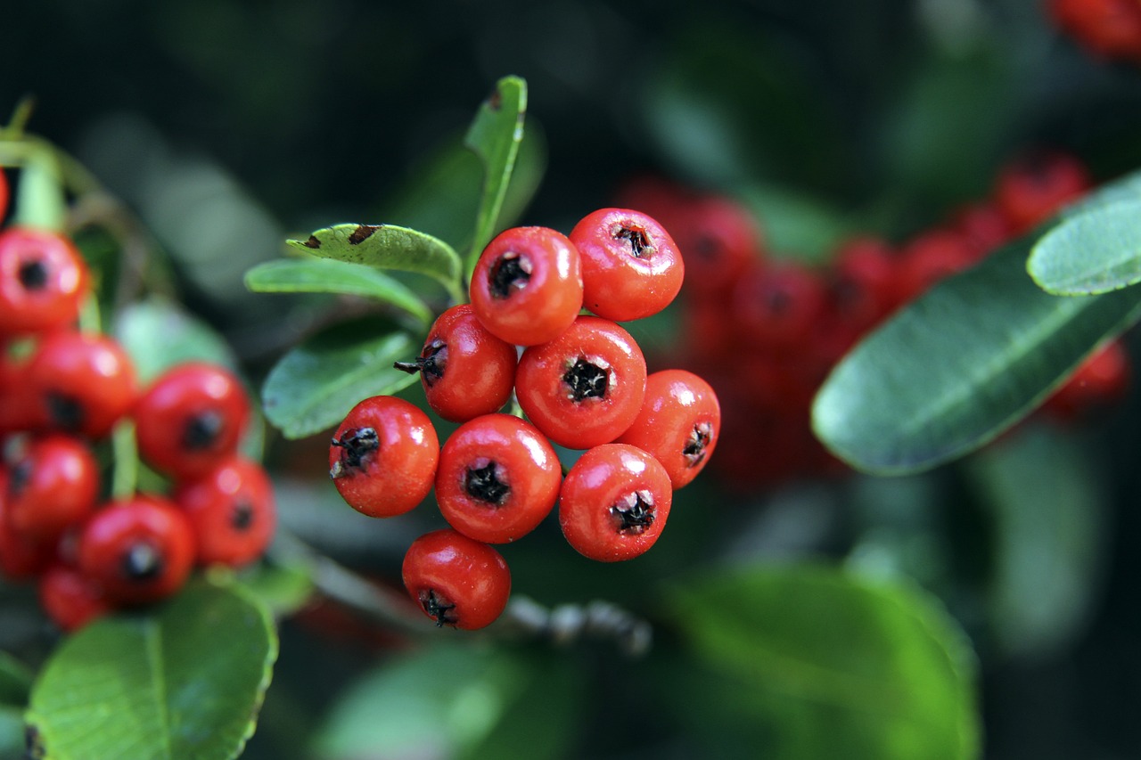 过程中积累 过程中积累