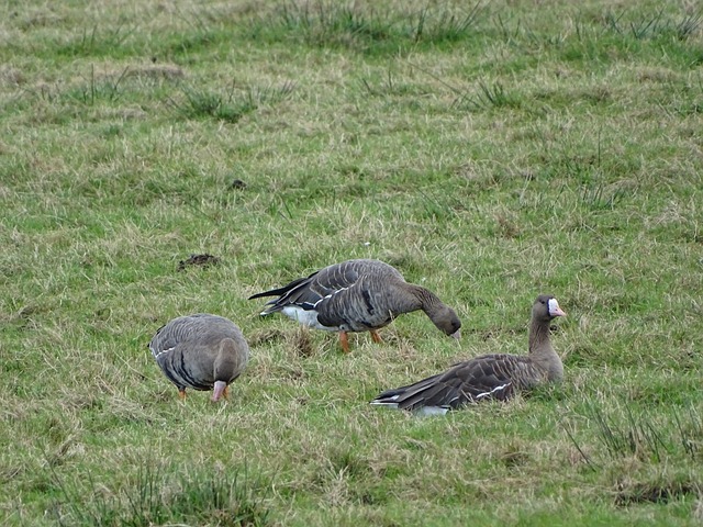 近三千选手在吉林白山挑战滑冰马拉松等冰雪赛事.